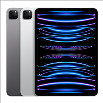 Picture of Apple 11 iPad Pro Wi-Fi 2TB - Silver (MNXN3B)