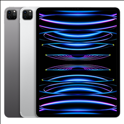 Picture of Apple 12.9 iPad Pro Wi-Fi 1TB - Space Grey (MNXW3B)